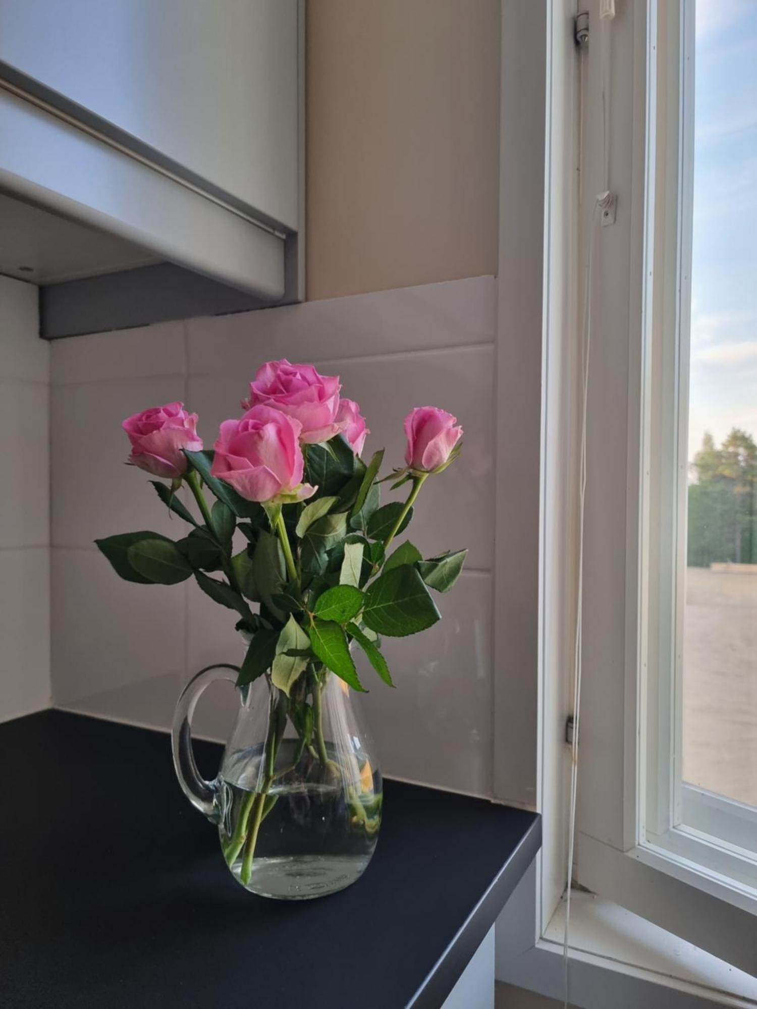 Kuukkeli Ivalo Airport Inn מראה חיצוני תמונה